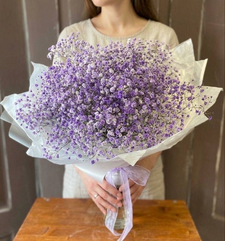 Моно-букет из фиолетовой гипсофилы
